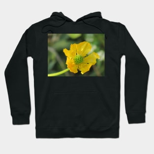 Buttercup Hoodie